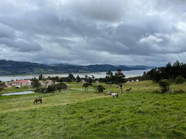 Altozano *